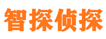 丹东市调查公司